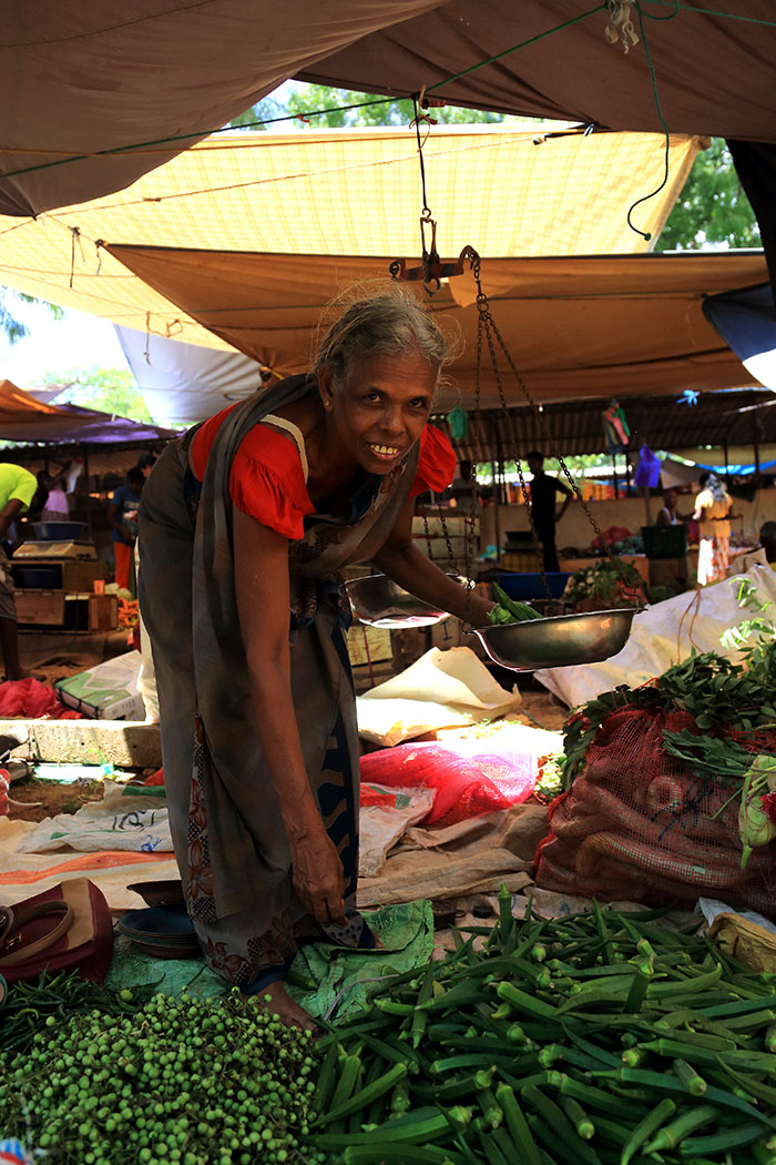 Village Tours in Sigiriya, Sigiriya and Habarana rural village walks, Village walks in Rural Villages, Village Tours in Sri Lanka, Walking tours in Sigiriya, Sigiriya Village Tours, Rural Village walking tours in Sigiriya and Habarana