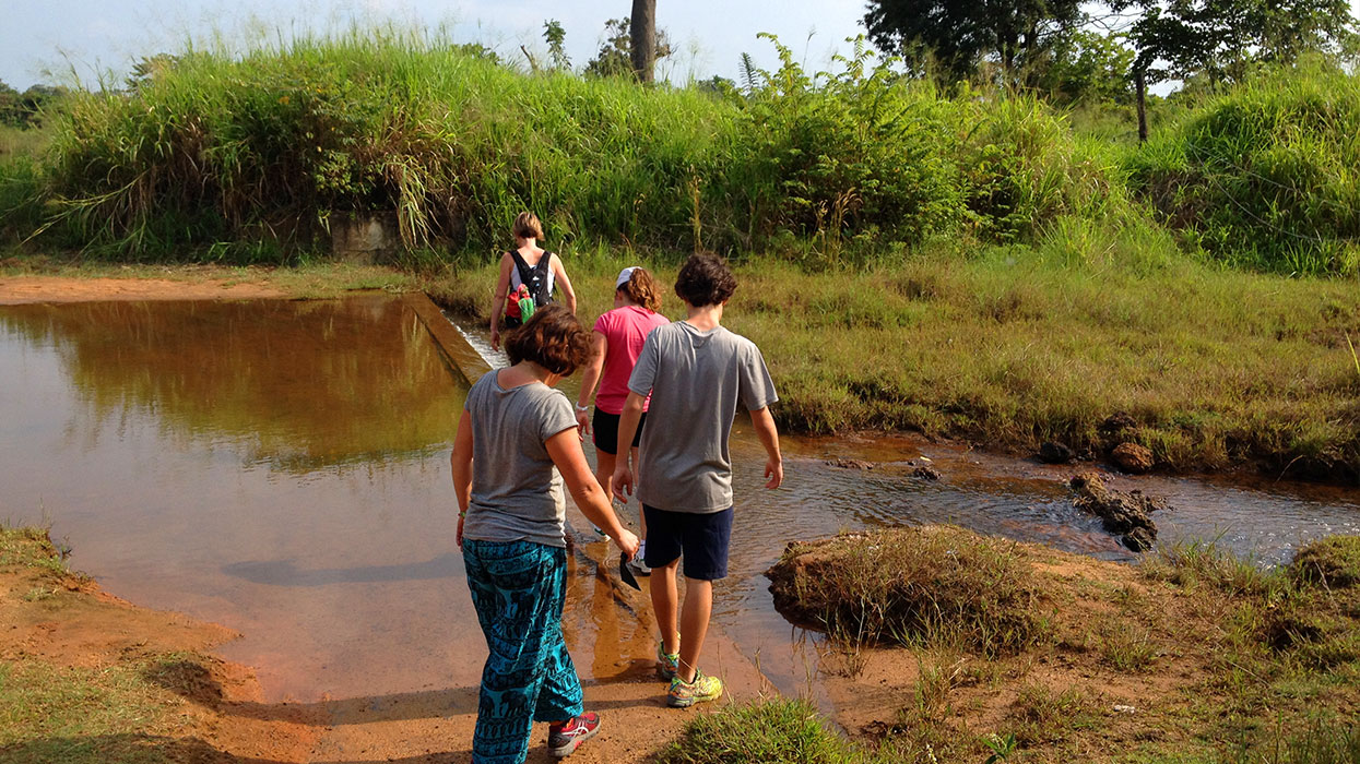 Village Tours in Sigiriya, Sigiriya and Habarana rural village walks, Village walks in Rural Villages, Village Tours in Sri Lanka, Walking tours in Sigiriya, Sigiriya Village Tours, Rural Village walking tours in Sigiriya and Habarana