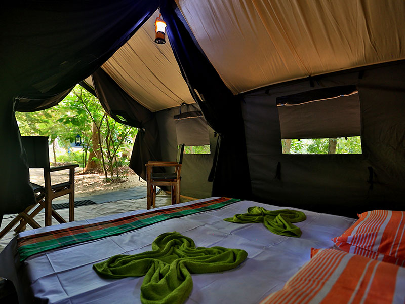 Camping Tours in Kumana, Tented Safari Camps in Kumana, Safari Camping in Kumana, Kumana Safari Camp, Kumana Safari Camping, Kumana Safari Camping Tours, Kumana Camping Safaris, Luxury Safari Camping Tours, Kumana Luxury Safari Camp, Kumana Camping