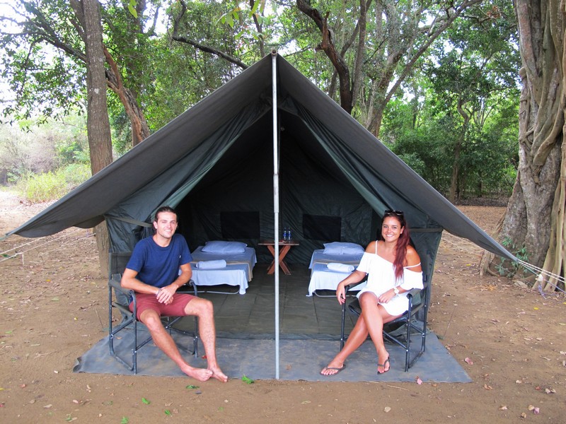 Tented Safari Camps in Udawalawe, Luxury Safari Camping in Udawalawe, Udawalawe Safari Camp, Udawalawe Safari Camping, Udawalawe Camping Safaris, Camping Tours in Udawalawe, Udawalawe Safari Camping Tours, Luxury Safari Camping Tours, Udawalawe Luxury Safari Camp, Udawalawe Camping