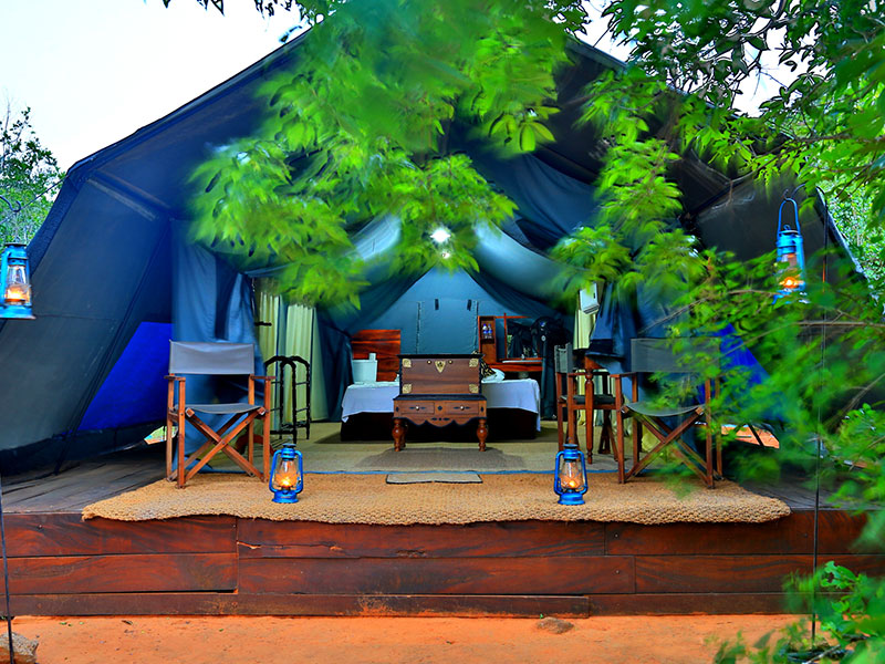 Tented Safari Camping in Sri Lanka - Tented Camping - Safari Camping - Safari camping in Yala - Udawalawe Safari camping - Safari camping in Kumana - Wilpattu Safari Camping