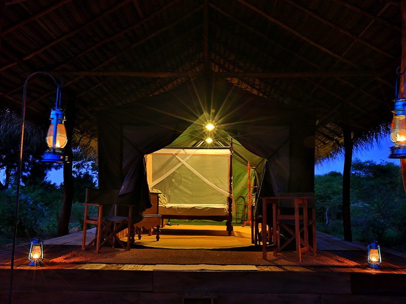 Tented Safari Camping in Sri Lanka - Tented Camping - Safari Camping - Safari camping in Yala - Udawalawe Safari camping - Safari camping in Kumana - Wilpattu Safari Camping