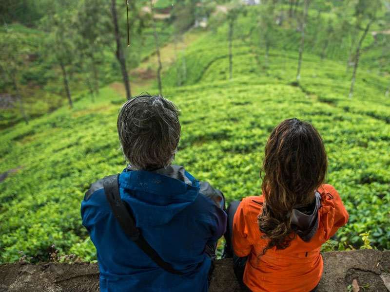 Tea experience in Sri lanka, Sri Lanka - Tea pluckers in sri Lanka - Tea making process in Nuwara Eliya, Sri Lanka - Tea Estate in Nuwara Eliya