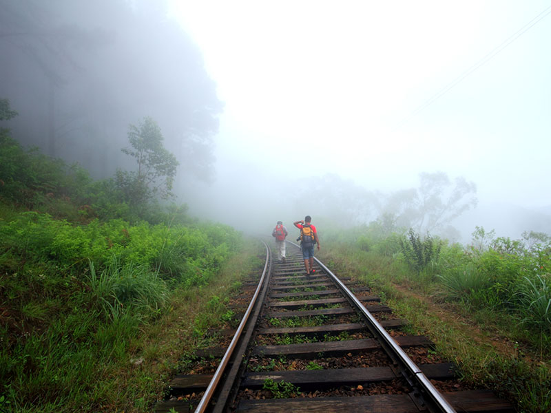 Scenic Trekking and Hiking Tours in Horton Plains and Bambarakanda Waterfall - Horton Plains trekking tours - bambarakanda waterfall trekking tours - Bambarakanda Waterfall and Horton Plains Trekking - trekking tours in sri lanka - Horton Plains Ohiya and Bambarakanda Waterfall Trekking Trip in Sri Lanka - sri lanka trekking & hiking trips