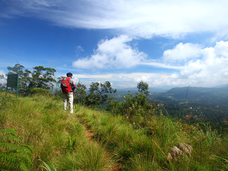 Scenic Trekking and Hiking Tours in Horton Plains and Bambarakanda Waterfall - Horton Plains trekking tours - bambarakanda waterfall trekking tours - Bambarakanda Waterfall and Horton Plains Trekking - trekking tours in sri lanka - Horton Plains Ohiya and Bambarakanda Waterfall Trekking Trip in Sri Lanka - sri lanka trekking & hiking trips