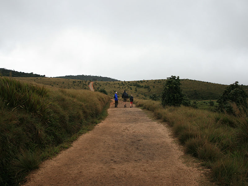 Scenic Trekking and Hiking Tours in Horton Plains and Bambarakanda Waterfall - Horton Plains trekking tours - bambarakanda waterfall trekking tours - Bambarakanda Waterfall and Horton Plains Trekking - trekking tours in sri lanka - Horton Plains Ohiya and Bambarakanda Waterfall Trekking Trip in Sri Lanka - sri lanka trekking & hiking trips