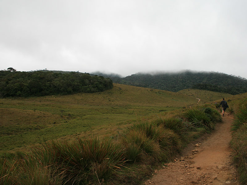 Scenic Trekking and Hiking Tours in Horton Plains and Bambarakanda Waterfall - Horton Plains trekking tours - bambarakanda waterfall trekking tours - Bambarakanda Waterfall and Horton Plains Trekking - trekking tours in sri lanka - Horton Plains Ohiya and Bambarakanda Waterfall Trekking Trip in Sri Lanka - sri lanka trekking & hiking trips