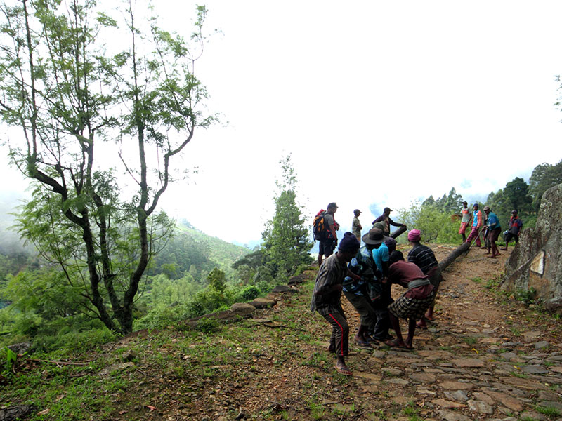 Scenic Trekking and Hiking Tours in Horton Plains and Bambarakanda Waterfall - Horton Plains trekking tours - bambarakanda waterfall trekking tours - Bambarakanda Waterfall and Horton Plains Trekking - trekking tours in sri lanka - Horton Plains Ohiya and Bambarakanda Waterfall Trekking Trip in Sri Lanka - sri lanka trekking & hiking trips