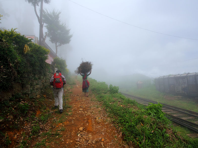 Scenic Trekking and Hiking Tours in Horton Plains and Bambarakanda Waterfall - Horton Plains trekking tours - bambarakanda waterfall trekking tours - Bambarakanda Waterfall and Horton Plains Trekking - trekking tours in sri lanka - Horton Plains Ohiya and Bambarakanda Waterfall Trekking Trip in Sri Lanka - sri lanka trekking & hiking trips