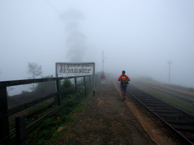 Scenic Trekking and Hiking Tours in Horton Plains and Bambarakanda Waterfall - Horton Plains trekking tours - bambarakanda waterfall trekking tours - Bambarakanda Waterfall and Horton Plains Trekking - trekking tours in sri lanka - Horton Plains Ohiya and Bambarakanda Waterfall Trekking Trip in Sri Lanka - sri lanka trekking & hiking trips