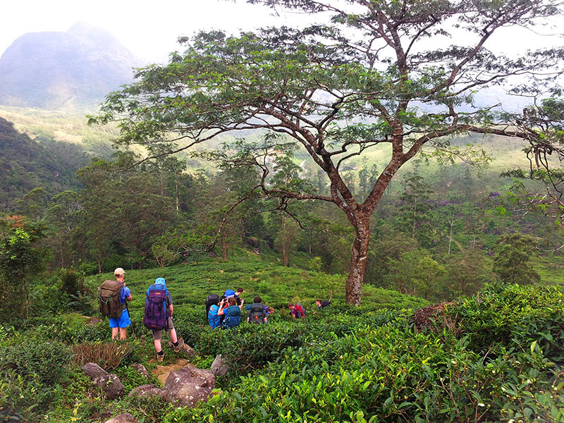 Trekking tours in Knuckles 