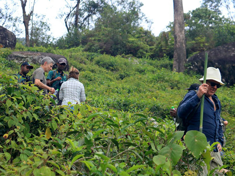 Trekking tours in Knuckles 