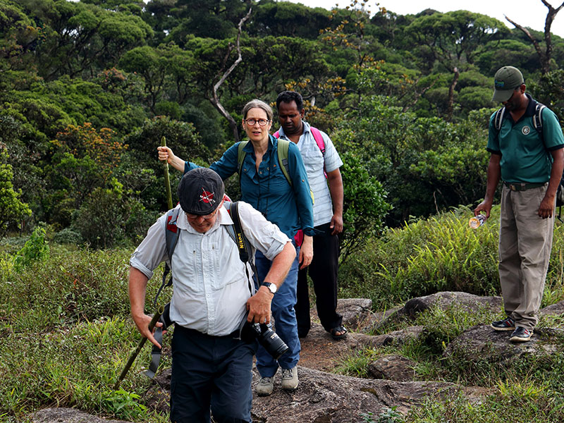 Trekking tours in Knuckles 