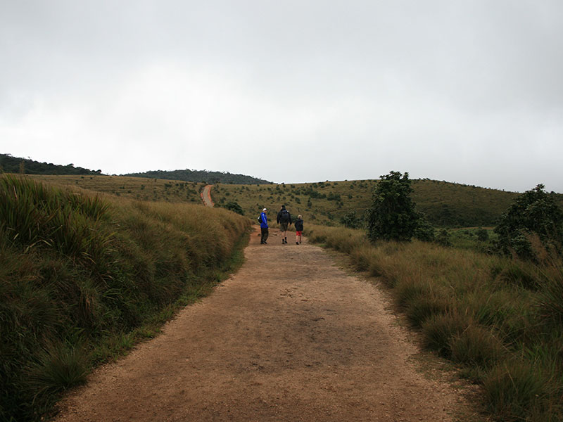 Trekking Tours in Sri Lanka - Walk from Nuwara Eliya to Ella - Ella Trekking tours - Trekking to Ella - Walking Trips in Sri Lanka - Nuwara Eliya Trekking Trips