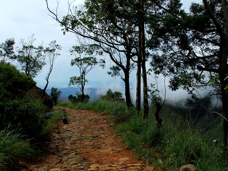 Trekking Tours in Sri Lanka - Walk from Nuwara Eliya to Ella - Ella Trekking tours - Trekking to Ella - Walking Trips in Sri Lanka - Nuwara Eliya Trekking Trips