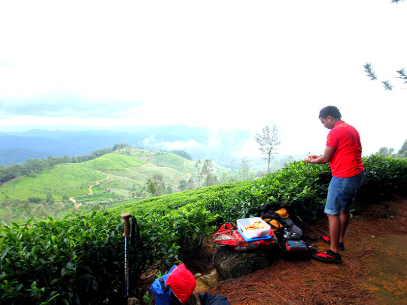 Trekking Tours in Sri Lanka - Walk from Nuwara Eliya to Ella - Ella Trekking tours - Trekking to Ella - Walking Trips in Sri Lanka - Nuwara Eliya Trekking Trips