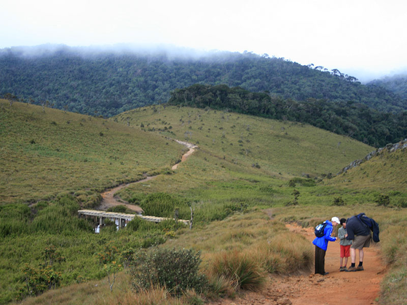 Trekking Tours in Sri Lanka - Walk from Nuwara Eliya to Ella - Ella Trekking tours - Trekking to Ella - Walking Trips in Sri Lanka - Nuwara Eliya Trekking Trips