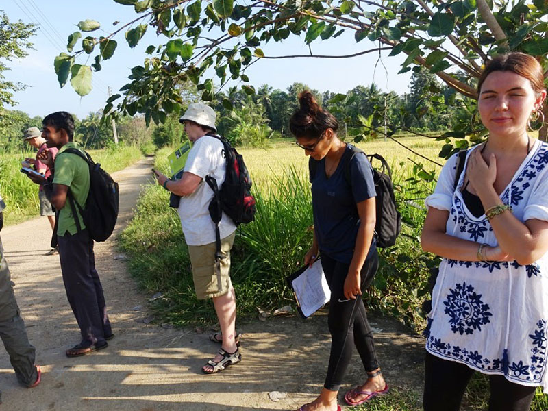 Wild Elephant Observation  in Sri Lanka - Wasgamuwa National park- Conservation Expedition in Wasgamuwa - Elephant Watching in wasgamuwa National Park - Wasgamuwa, Sri Lanka